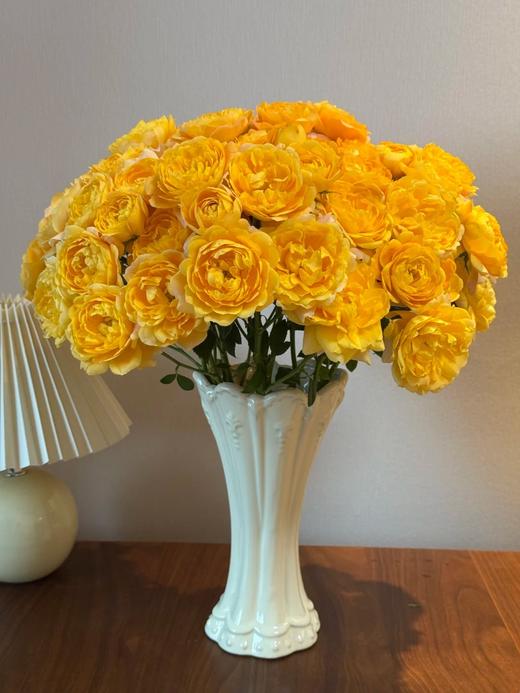 国产多头玫瑰花橙汁阳台10支 商品图2