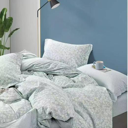 【春上新】10楼 恐龙 全棉四件套（多花型） 200*230cm   吊牌价1380元    活动价299元 商品图2