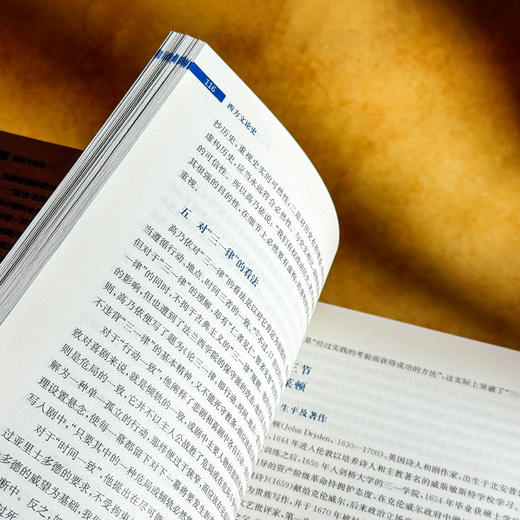 西方文论史 古希腊到当代西方 文学新潮 朱志荣 商品图9