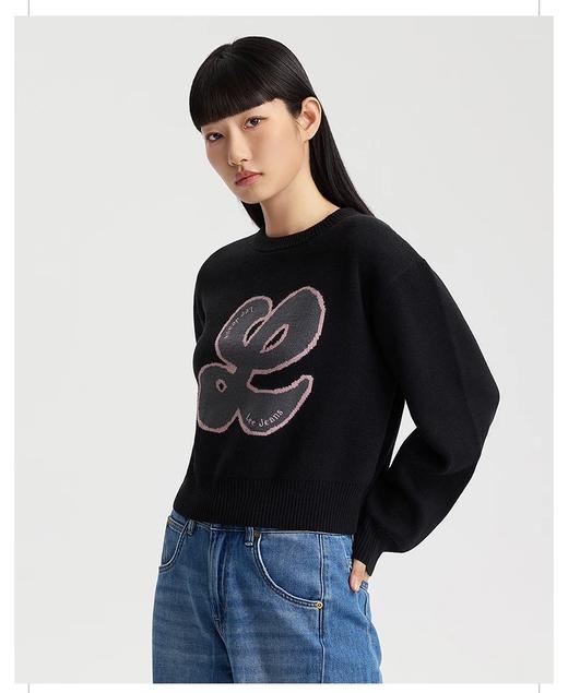 【云粉节】6楼LEE女士长袖毛衣吊牌价699 商品图0