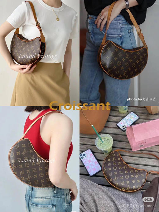 Lv croissant 中古 豌豆 小号 老花 腋下包 商品图1