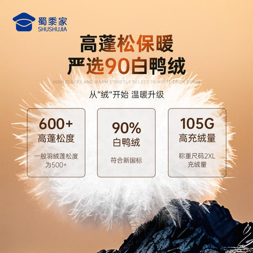 【三代通勤羽绒内胆】商务休闲抗静电羽绒外套防钻绒保暖长袖羽绒服上衣YZ503 商品图1
