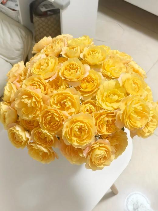 国产多头玫瑰花橙汁阳台10支 商品图1