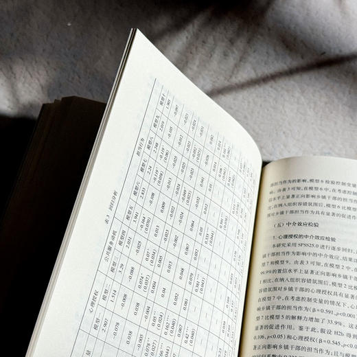 公共管理的行为洞察与政策助推 第二辑 行为公共管理与政策 商品图11