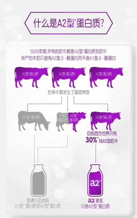 新西兰进口 A2速溶脱脂乳粉/全脂调制乳粉 商品图6