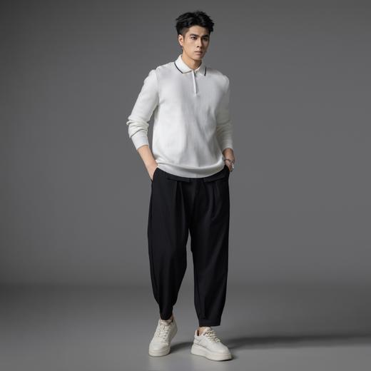 PINLI品立2025秋季新款男士拉链门襟翻领打底套头针织衫毛衣上衣GD253110080 商品图1