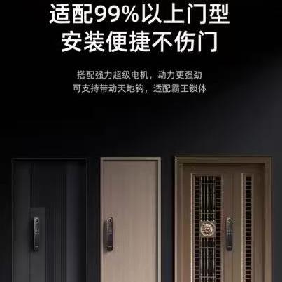 【云粉节】10楼 凯迪仕 指纹识别 防盗门锁密码锁 入户门电子智能锁 T500FVP吊牌价2999元活动价2099元 商品图4