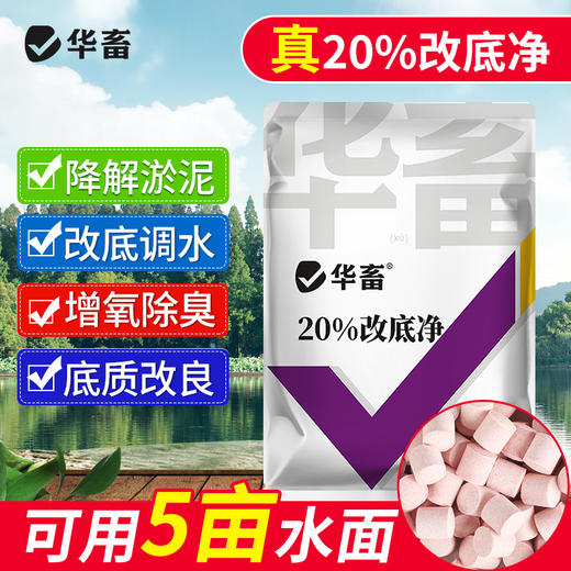 【积分兑换】华畜20%改底净500g 净化水质 改底除臭 氧化有害物质 商品图0