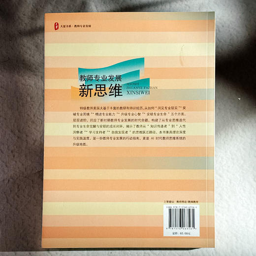 教师专业发展新思维 大夏书系 教师专业发展行动指南 莫国夫 商品图2