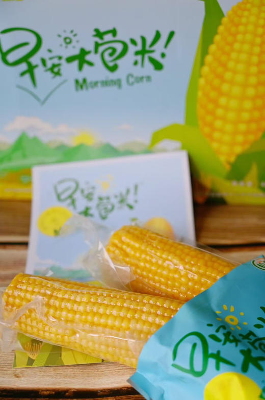 早安大苞米 一箱10根 商品图3