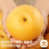 秋月梨 商品缩略图2