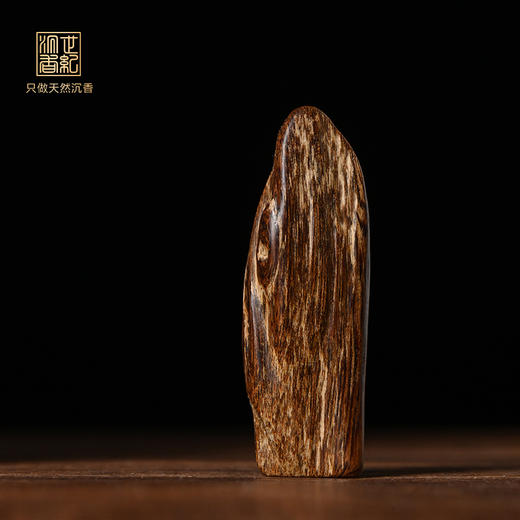 天然芽庄沉香 沉水级 4.9克 SP11996 商品图0