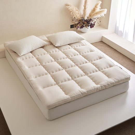 【棉麻纤维大豆床垫】棉麻床垫良品大豆纤维柔软加厚保暖民宿舍学生床褥秋冬款 商品图2