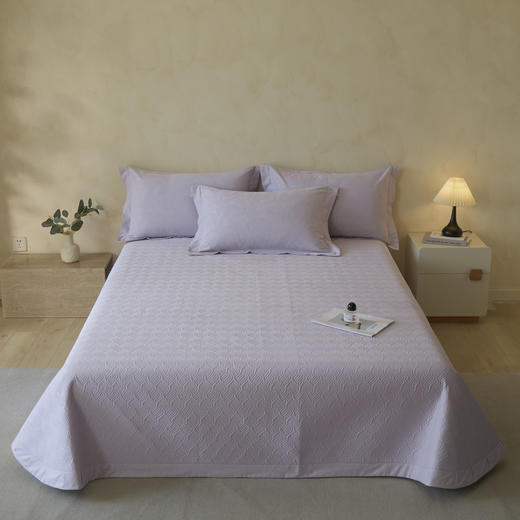 【热卖推荐】自然醒轻奢高支浮雕立体提花床盖款四件套HS 商品图12