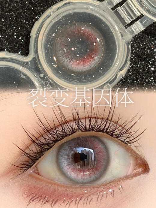 HUOHUO 裂变基因体（半年抛型） 商品图1