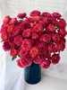 国产精品多头玫瑰花绝色果汁10支 商品缩略图0