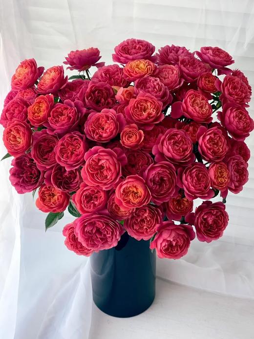 国产精品多头玫瑰花绝色果汁10支 商品图0