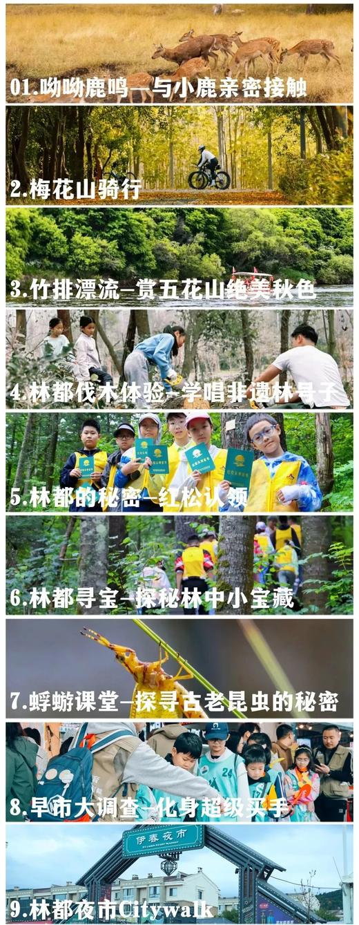 25【十一亲子】哈尔滨-伊春6日营,限定秋日林海,斑斓绚丽五花山\漂流\骑行\伊春小鹿\喂老虎\伐木\哈工大\红松|6~70岁亲子 商品图1