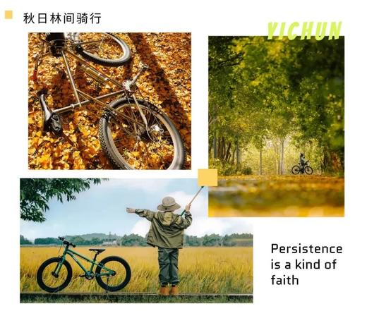 25【十一亲子】哈尔滨-伊春6日营,限定秋日林海,斑斓绚丽五花山\漂流\骑行\伊春小鹿\喂老虎\伐木\哈工大\红松|6~70岁亲子 商品图2