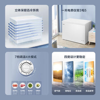 海尔（Haier）300升低霜家用商用冰柜 冷藏柜冷冻柜冰柜家用冰箱大冷柜BC/BD-300GHDZ 商品图1