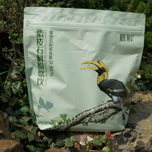 【去春燥补津液！】买赠活动【九大仙草之首石斛原浆】甄选5年份仿野生紫皮石斛  紫皮石斛 原浆含量90%以上 商品图2