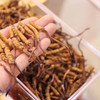 【冬虫夏草干货】顺丰到家 人工精挑细选 根根饱满 环纹清晰 干度适宜 虫体肥壮饱满 多种规格任选 商品缩略图5
