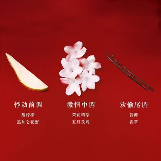 【192元会员福利】阿玛尼迷情挚爱女士香水15ml （中小样） 商品图1