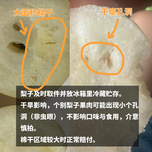 有机圆黄梨 | 合作生产 *Organic Yuanghuang pear | Coproduction 商品图1