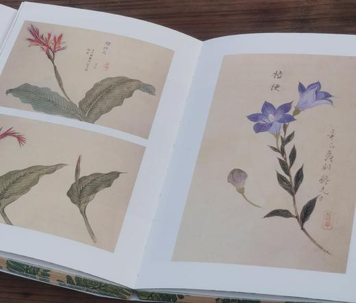 《草木集》，32开，平装，三口刷边，柳田国男等著，九州出版社2025年8月一版一印，定价78，售价62.4元。 商品图8