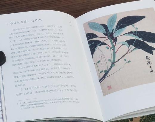 《草木集》，32开，平装，三口刷边，柳田国男等著，九州出版社2025年8月一版一印，定价78，售价62.4元。 商品图6