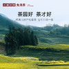 小罐茶园 金标系列大红袍  升级版 60g【现货】 商品缩略图3