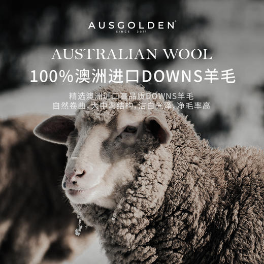 热卖！真羊毛巨暖和！澳洲品牌AusGolden M系列100澳洲进口羊毛 四季被/羊毛冬被/胖胖枕  舒适保暖 多规格可选 商品图2