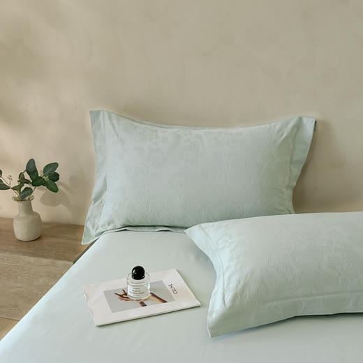 自然醒轻奢高支浮雕立体提花单件枕套HS 商品图5