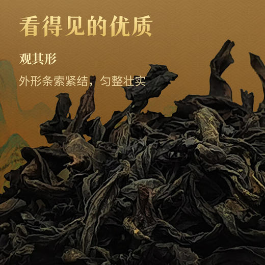 中茶千山·大红袍（升级款）-180g 商品图4