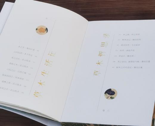 《草木集》，32开，平装，三口刷边，柳田国男等著，九州出版社2025年8月一版一印，定价78，售价62.4元。 商品图3