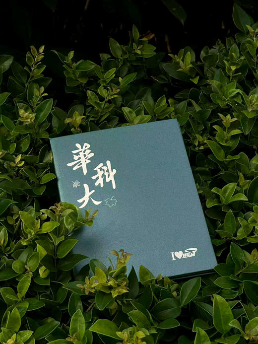 华科大立体贺卡 商品图6