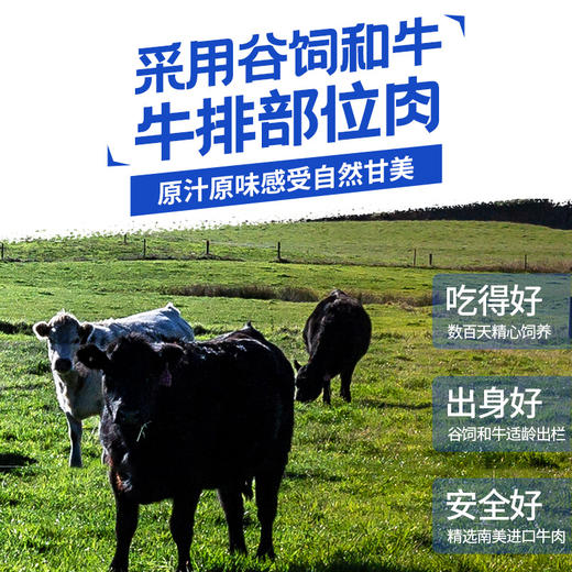 【小牛凯西】 牛肉馅饼儿童营养早餐半成品酥脆牛肉馅饼500g*4 商品图2