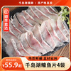 【速冻到家】千岛湖鳙鱼片4袋装 精选千岛湖鳙鱼 肉质细腻Q弹 不腥不柴 商品缩略图0