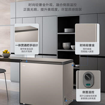 海尔（Haier）轻奢金200升单温冰柜家用小型无需频繁除霜钢板内胆冷冻/冷藏冰箱BC/BD-200GHPCA 商品图2