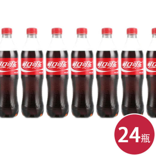 可口可乐600ml*24（6928804011760） 商品图0