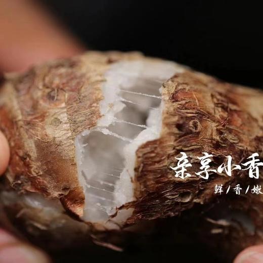 亲享小香芋 商品图0