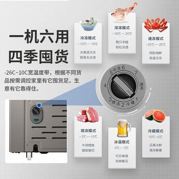 海尔（Haier）轻奢金200升单温冰柜家用小型无需频繁除霜钢板内胆冷冻/冷藏冰箱BC/BD-200GHPCA 商品图3