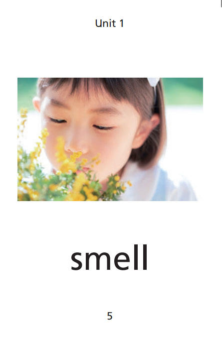 英语口语交际 生词图片卡（学生用）二年级上册【全国新教材】 商品图2