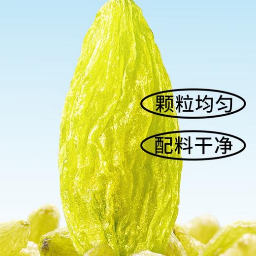 花家盛世 葡萄干428g—rxs 商品图4