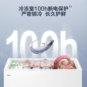 海尔（Haier）300升低霜家用商用冰柜 冷藏柜冷冻柜冰柜家用冰箱大冷柜BC/BD-300GHDZ