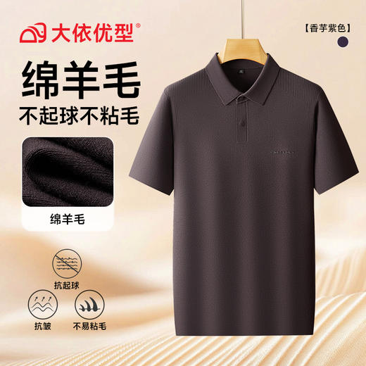 【绵羊毛】【DWN】大依优型大码男装休闲时尚商务翻领针织POLO衫短袖 商品图2