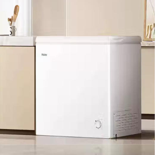 海尔  200L 单温冷柜 冰柜 商用小型 家用冷藏冷冻 BC/BD-200GHTA 商品图0