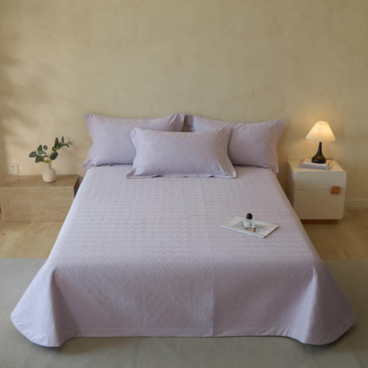 自然醒轻奢高支浮雕立体提花单件床盖HS 商品图9