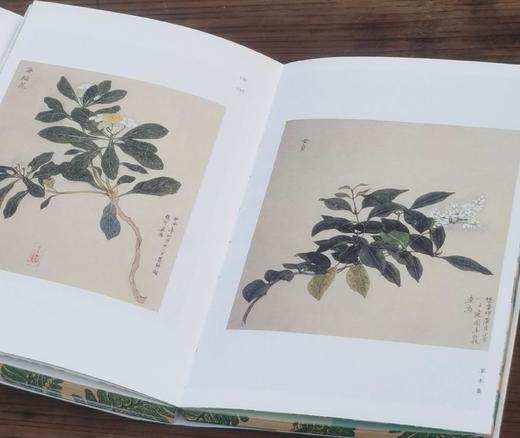 《草木集》，32开，平装，三口刷边，柳田国男等著，九州出版社2025年8月一版一印，定价78，售价62.4元。 商品图11