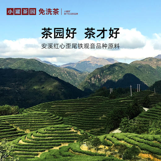 【积分抵现】小罐茶园 流金系列 铁观音茶60g【积分兑换】 商品图1